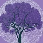 地球环境所：全球海洋生态计量比发生偏移 |《自然-地球科学》论文