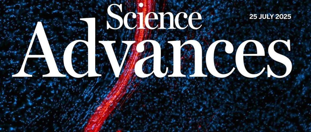 Science Advances｜三个因素或有助于提升在线政治讨论的品质，但无法影响意识形态