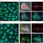 TEM图像处理软件DigitalMicrograph下载：SAED衍射标定、晶面间距、EELS分析、元素标定、上色、衬度调整等