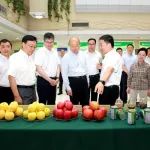 农业农村部副部长，去西北农林科技大学