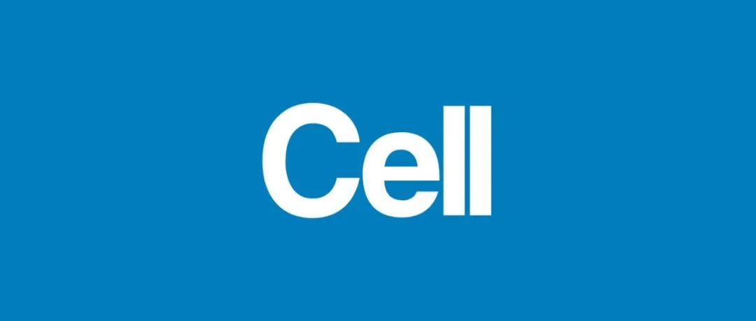 Cell Biomaterials：利用可编程DNA水凝胶实现雌性生殖干细胞命运调控