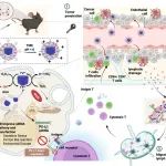 ACS Nano：PD-L1 siRNA递送和纳米海绵介导的DC调节抗原捕获可重编程肺转移免疫缺陷