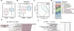 eLife | 四川大学李静对自发性 2 型糖尿病恒河猴的多组学研究表明肠道菌群通过上调过量棕榈酸的吸收来促进 2 型糖尿病