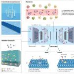 研究进展：海水电解制氢 | Nature Reviews Materials