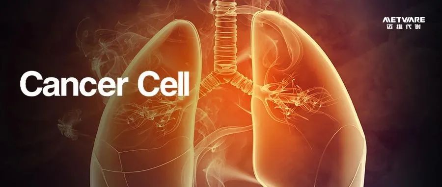 Cancer Cell | 张建军/吴佳/朱波团队空间多组学揭示TIM-3肺腺癌前体干预靶点