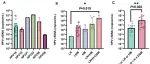 eLife | 浙江中医药大学楼寒梅研究阐明了循环游离HPV DNA监测转移性和复发性宫颈癌的临床重要性及其对治疗的意义
