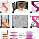 研究进展：多材料3D打印-增材制造 | Nature Communications