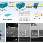 合工大胡颖、常龙飞/哈工大彭庆宇《Adv. Sci.》：具有“类二极管式”变形行为的MXene基柔性薄膜驱动器