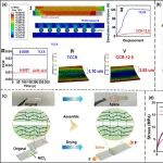 西南科大常冠军教授和兰阳教授团队 Macromolecules：通过高能阳离子-烯烃交联实现可回收、高强度多功能弹性体