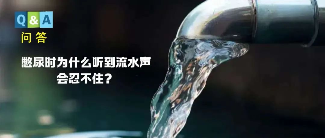 为什么人在憋尿的时候听到流水声会忍不住？ | No. 470