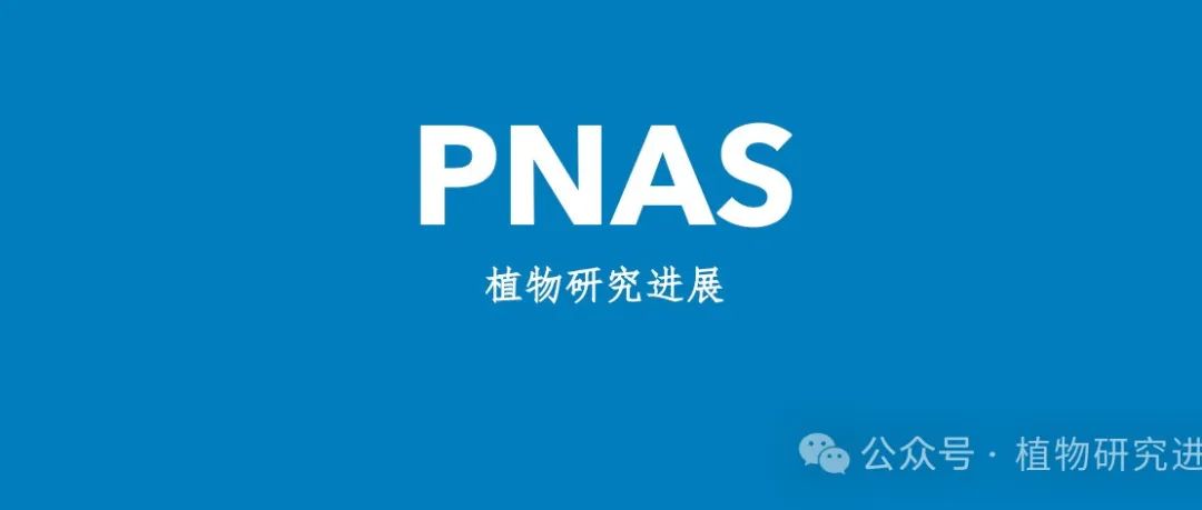 河南农业大学副院长团队与北京大学邓兴旺院士团队合作发表《PNAS》
