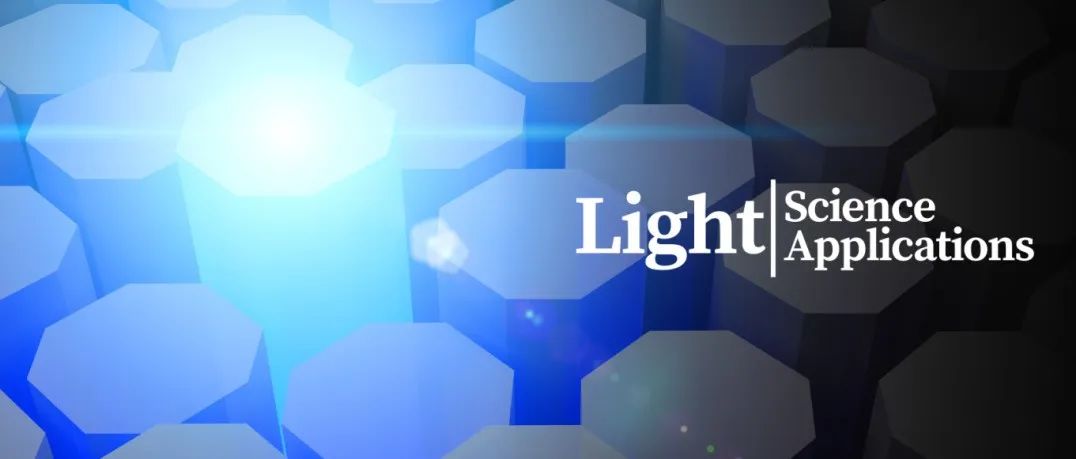 李强/仇旻等Light | 自由空间高品质因子纳米光子学