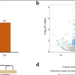 eLife | 南京农业大学段亚冰等团队研究发现新型农药喹诺酮类抗禾谷镰刀菌的作用机理