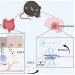 Gastroenterology | 首都医科大学张栋/田丹/宗晔发现穿孔素和CXCL9可成为改善IBD患者精神症状的治疗靶点