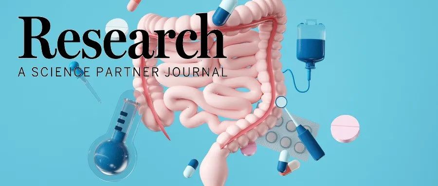 Research综述|聚焦铜死亡在结肠炎及癌变中的双向作用：免疫调控新视角