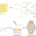浙大王立教授/俞豪杰教授团队Carbohyd. Polym.：用于促进伤口愈合和骨再生的多巴胺功能化硫酸软骨素/明胶基复合水凝胶
