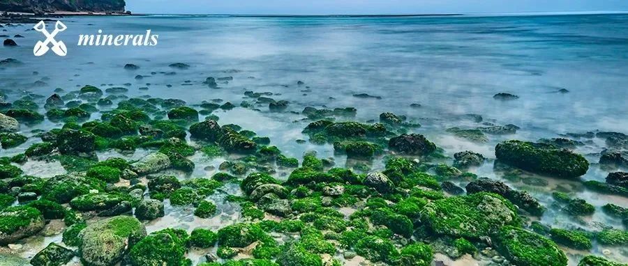 瑞典特韦伦地区冰川漂砾中的古口类苔藓虫 | MDPI Minerals