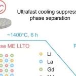 南方科技大学ACS Energy Lett.：超快合成策略抑制中熵钙钛矿固态电解质相分离