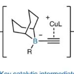研究前沿：铜催化C(sp&#178;)同系化反应 | Nature Chemistry