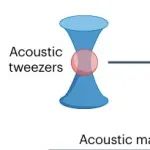 研究进展：声镊-声学超材料 | Nature Reviews Methods Primers