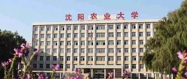连发两篇！沈阳农业大学陈温福院士团队在国际著名期刊上发表研究成果，在水稻耐旱、抽穗期调控领域取得重要进展