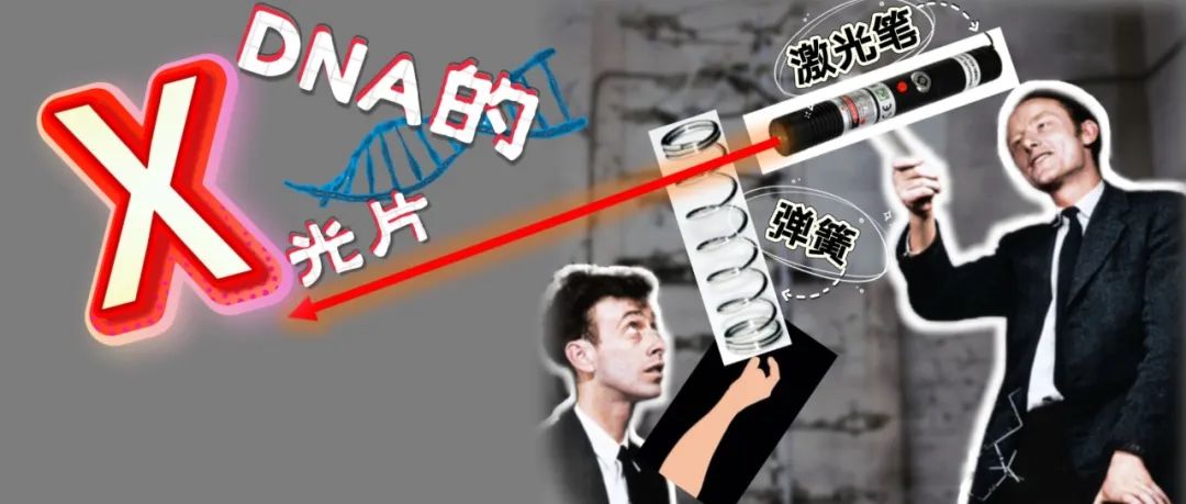 激光笔+弹簧=DNA密码？在家复刻诺奖级实验的神奇操作！ | 正经玩