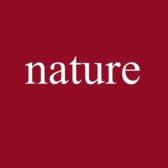 仿生，Nature！