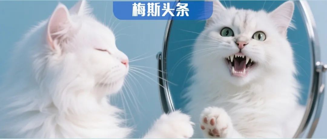 “看相算命”玄学成真？哈佛团队分析4000万张照片：显老是癌症患者死亡信号！显老10岁，死亡风险飙升30%