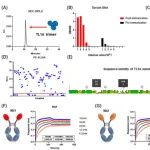AFM | 东南大学张春阳等团队研究首创K+配位MOFs偶联TL1A纳米抗体，实现高性能ECL生物传感
