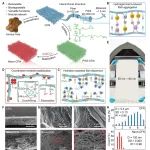 四川大学刘公岩教授等 Nat. Commun.：纳米微纤化胶原纤维网络用于高效空气净化