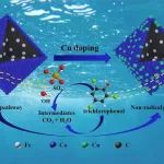 文献速递|南京理工大学杨毅教授CEJ:三金属MOFs衍生的Fe-Co-Cu氧碳化物通过高价金属氧化物激活PMS以高效降解三氯苯酚
