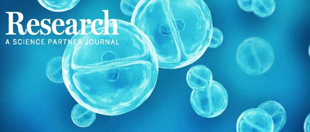 Research综述 | CAR - T细胞疗法革新自身免疫性肾病治疗—浙江大学医学院附属儿童医院叶青、毛建华团队最新综述