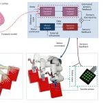 研究进展：仿生轨迹调制-防滑抓取 | Nature Machine Intelligence