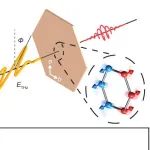 研究前沿：太赫兹-二维反铁磁材料FePS&#8323; | Nature Communications