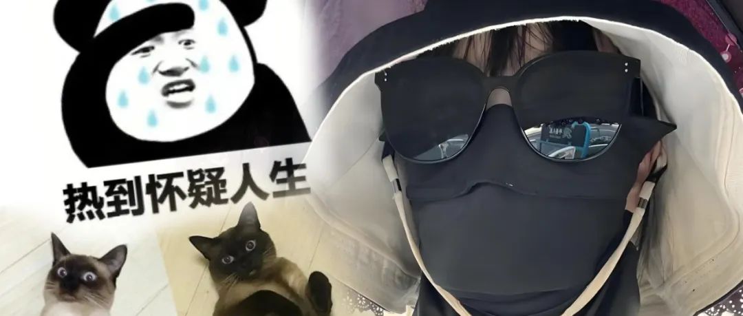 大热天不晒太阳居然也会偷偷变黑？暹罗猫：怎么听起来有点耳熟