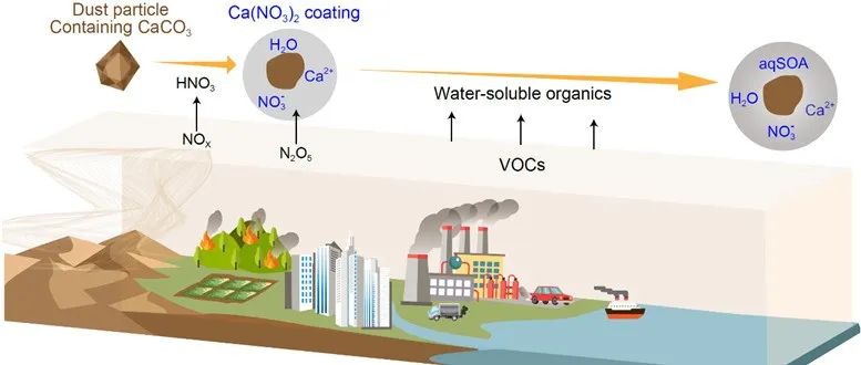 浙大地球科学学院李卫军NSR：发现全球大气沙尘气溶胶界面是二次有机气溶胶“隐形工厂”