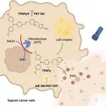 Adv. Mater：光诱导的等离激元电子转移基生物正交裂解反应用于实现精准肿瘤治疗