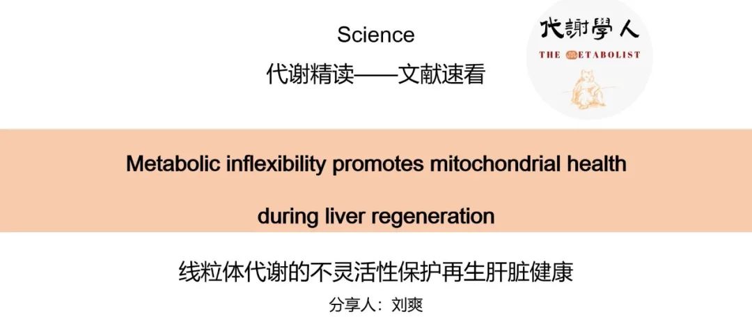 【视频号】Science: “一根筋”的肝脏有活路（附文字版链接）