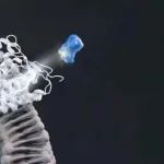 Digital Discovery｜阿尔法分子开发精准AI高通量药物筛选新方法