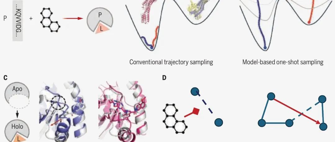 Science｜用AI重构生命分子网络：结构基础模型正推动我们理解并重新编程分子生物学