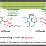 【Org. Lett.】东北大学：通过组装天然产物Citrinin和Gregatin A合成Citrifuran A和D