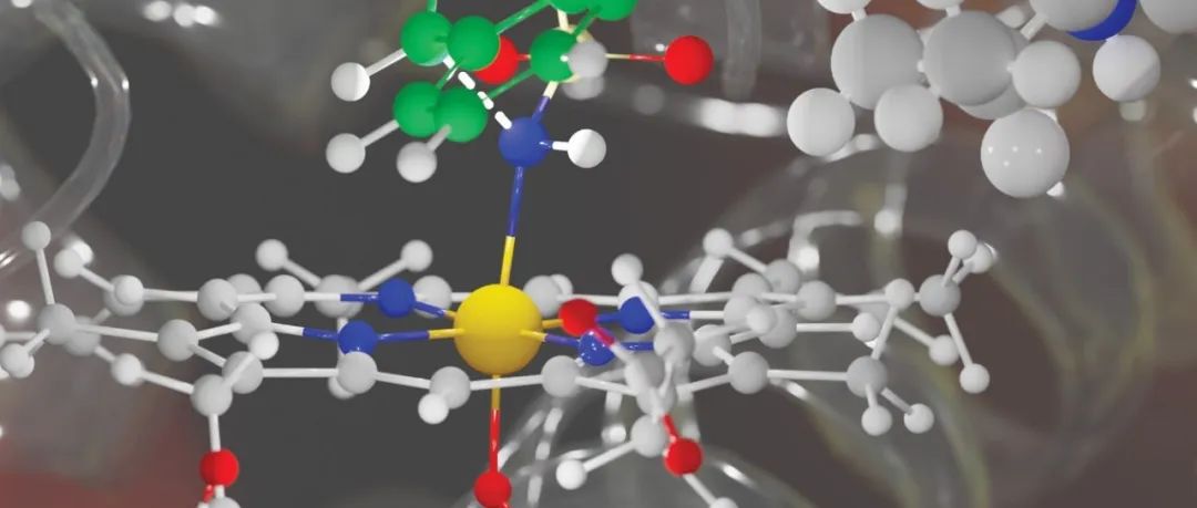 厦门大学陆钊洪课题组: 简洁高效的Bipolarolides A 和 B 的不对称全合成方法