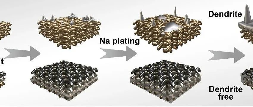 烟台大学孙建超&温州大学李林团队：双梯度骨架设计助力金属钠负极稳定循环