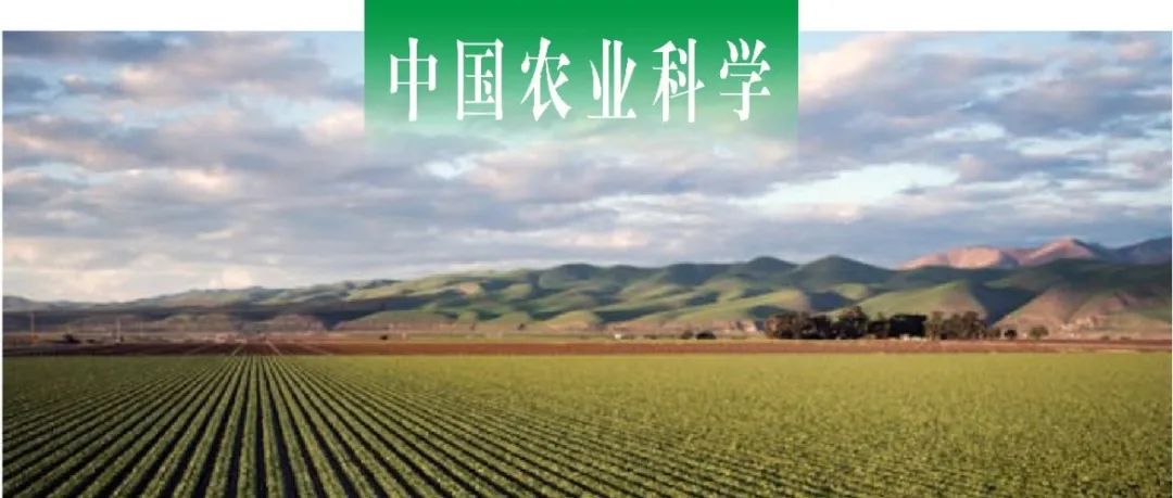 中国农业科学 | 生态环境部南京环境科学研究所孙建飞综述农田土壤固碳与温室气体排放计量研究进展