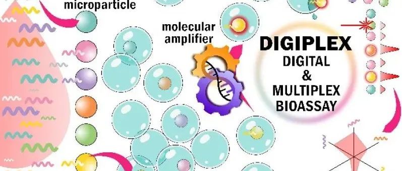 JACS.用于微小核糖核酸等温、数字和多重检测的分区悬浮阵列