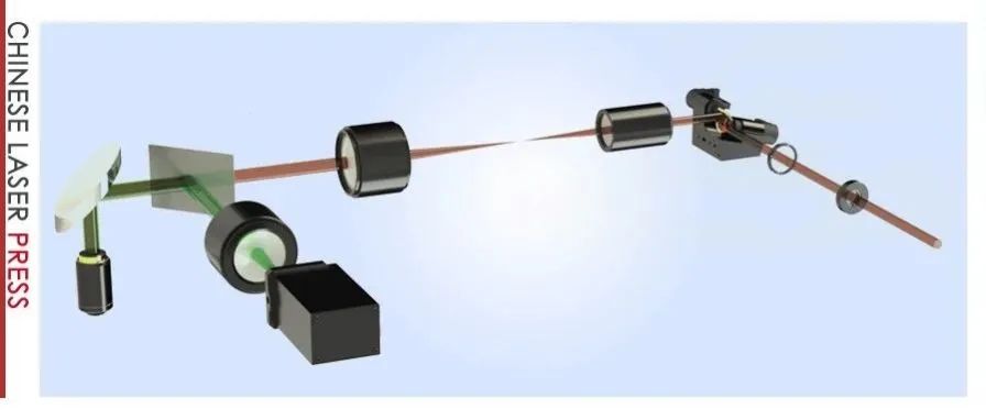 精准高效！径向偏振光技术铌酸锂畴结构检测技术登场 |&#160;Advanced Photonics Nexus