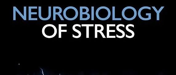期刊面面聊 | Neurobiology of Stress：引用分8.6，声誉好，初审中位时间仅两周的神经科学领域优质期刊