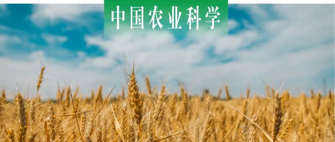 中国农业科学 | 华南农大王晖综述作物泛基因组研究进展与展望