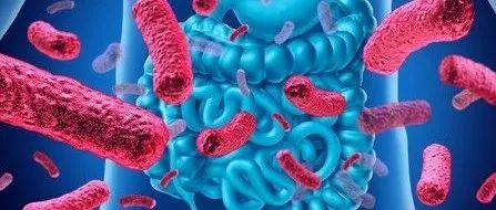揭秘神奇的“第六感”！《自然》研究发现它能默默帮助控制食欲