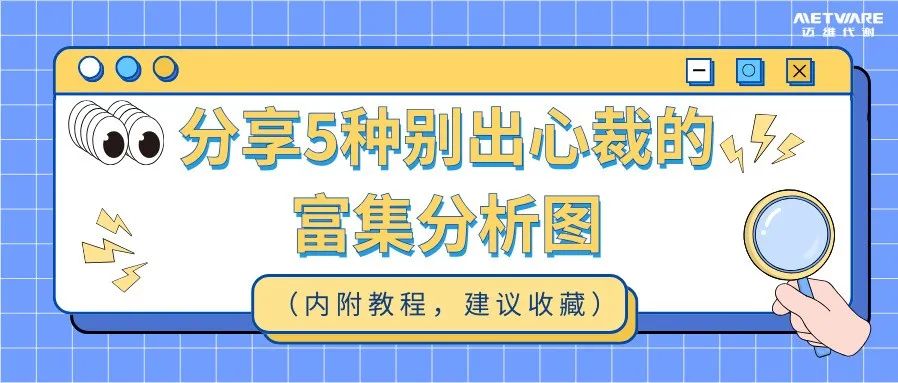 迈维云平台 | 封神！我愿称之为通路分析的扛把子